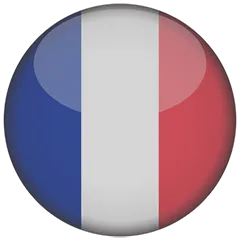 French driving test electronical pdf book ebook download app licence in the UK permis de conduire en français au royaume-uni